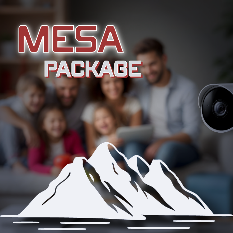 Mesa Camera System